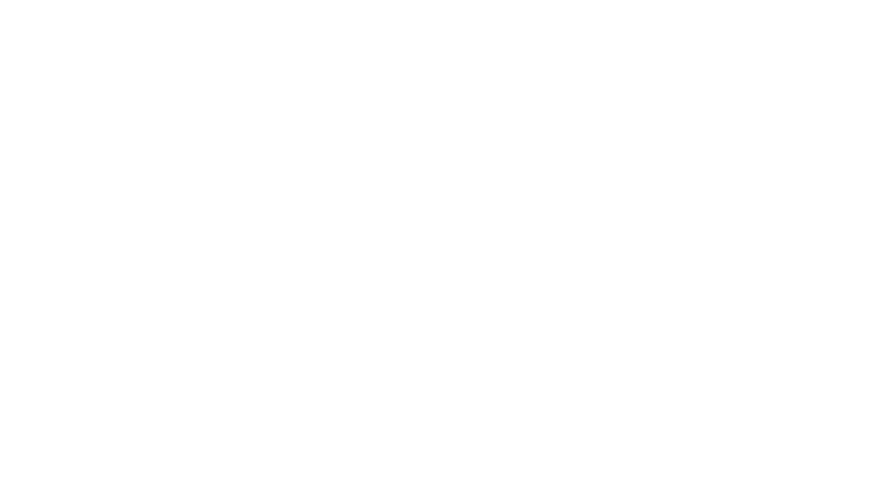 Araknis logo
